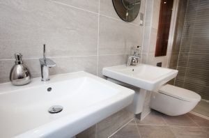 chestnut shadwell 31 sm.jpg